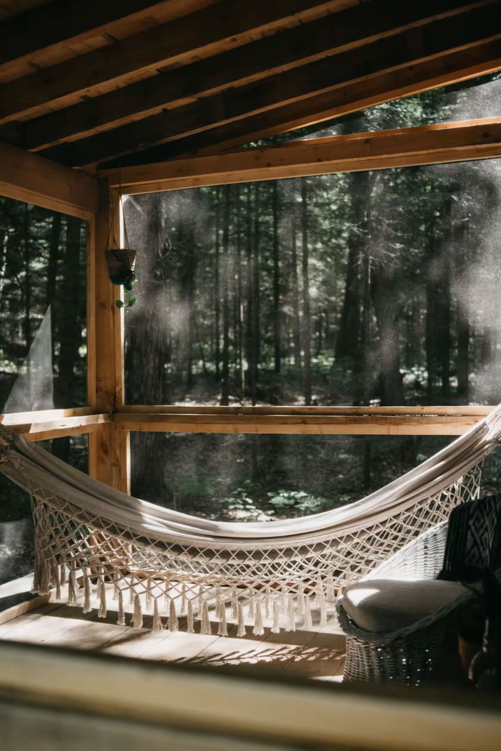 Hammock inside the screened Muskoka room looking into the forest
